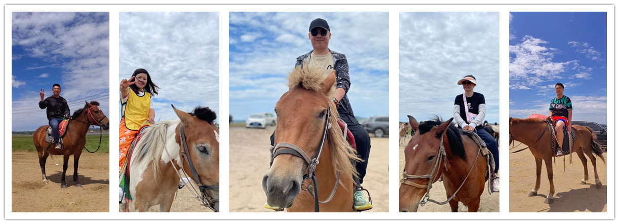 2022年中儀宇盛旅游式團建【相約多倫?煥心出發】(圖5) 2022年中儀宇盛旅游式團建【相約多倫?煥心出發】(圖5)